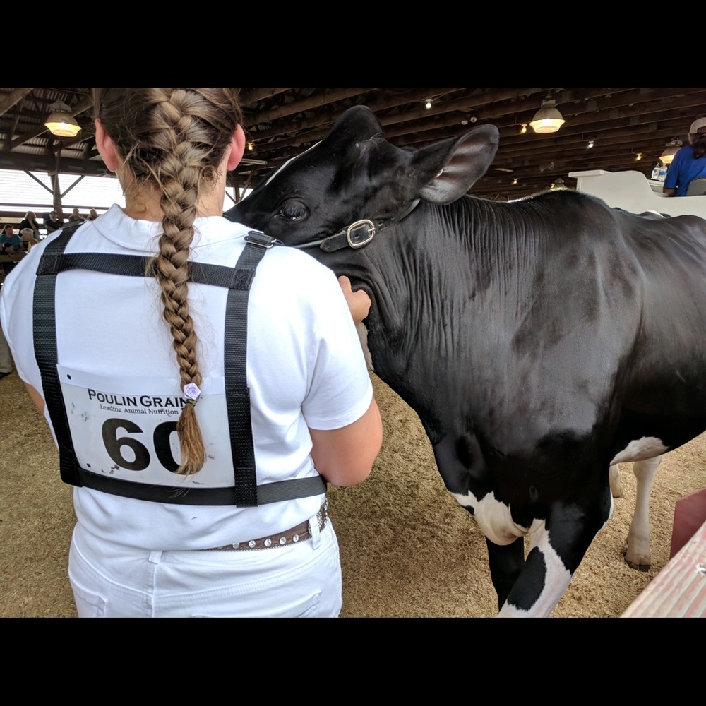 Meet your Posher, Sarah